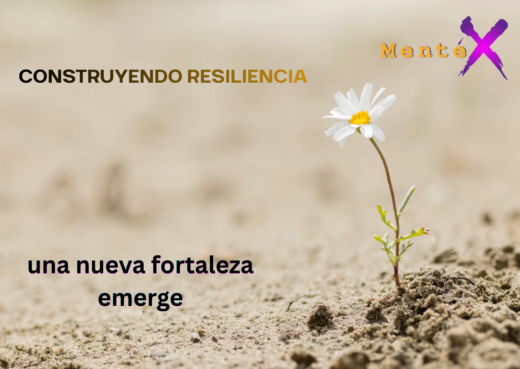 Construyendo Resiliencia