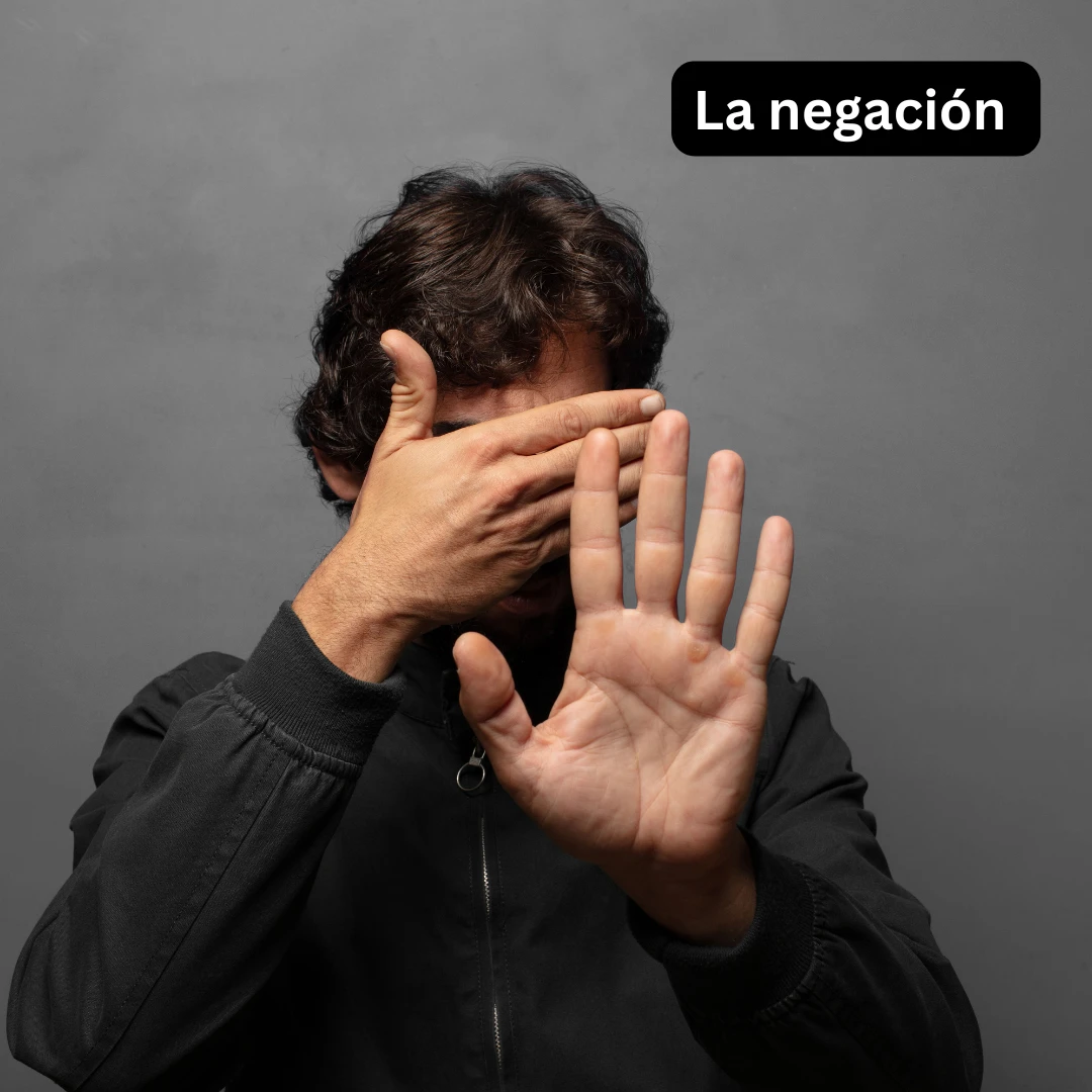 La negación